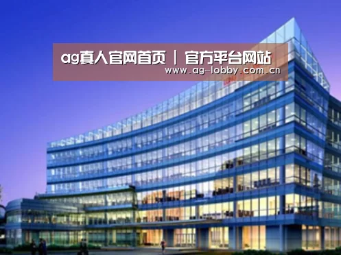 ag娱乐平台案例展示三
