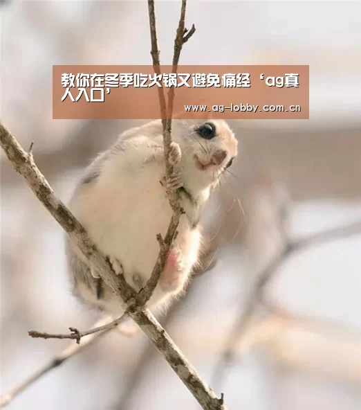 ag真人入口
