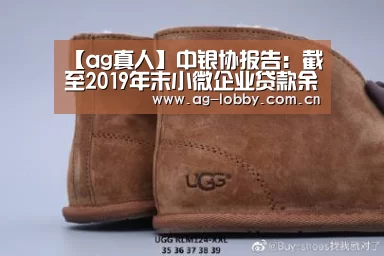 【ag真人】中银协报告:截至2019年末小微企业贷款余额36.9万亿元(图2) ag娱乐平台